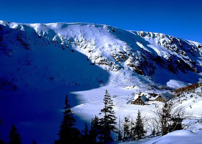 Schronisko Pttk Samotnia Hostel *